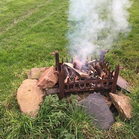 Rivendell Glamping Pods Hotell Holsworthy Eksteriør bilde